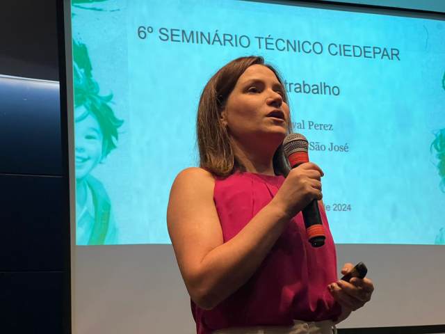 6° Seminário Técnico do CIEDEPAR